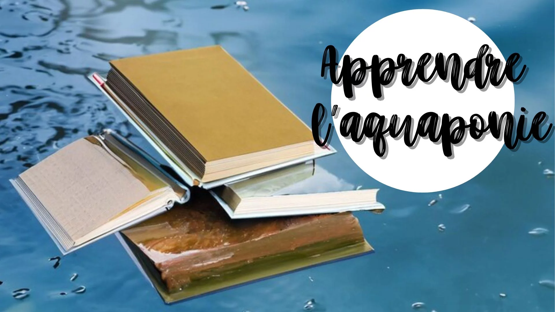 Les meilleurs livres pour apprendre l’aquaponie