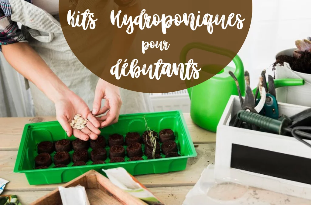 Les meilleurs kits hydroponiques pour débutants