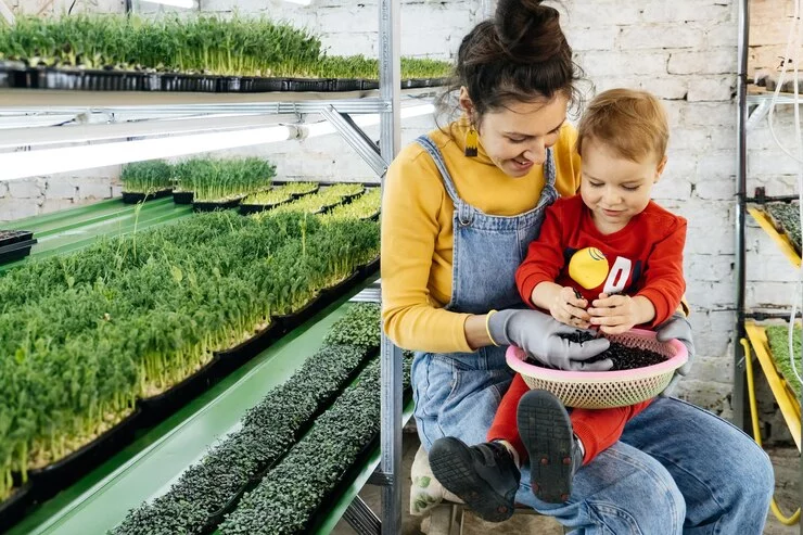 Initier les enfants à l’hydroponie