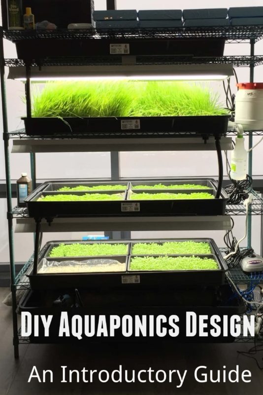 Diy Aquaponics Design An Introductory Guide