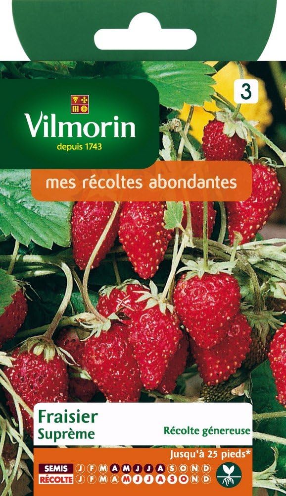 Graines de Fraisier 4 Saisons Suprême - Vilmorin